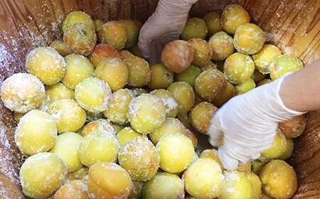 青森県南部町の伝統の漬物 フルーツ 「杏」 のしそ漬け 善八【八助しそ漬け】約240g×3袋 【アグリーデザイン】 うめ あんず アプリコット 杏子 しそ漬け 漬物  保存食 おにぎり お弁当 お茶漬け ご飯のお供 梅干 加工品 食品 F21U-157