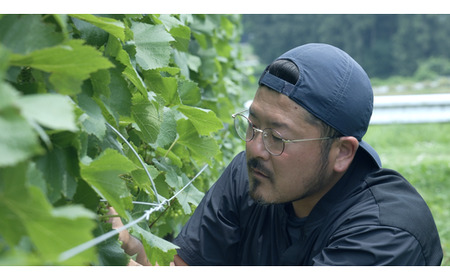 PrivateReserve ROUGE 2021 1本|日本産 ワイン 赤ワイン 辛口 ミディアムボディ 国産ワイン ギフト プレゼント 贈答用 バレンタインデー 母の日 父の日 お中元 お歳暮