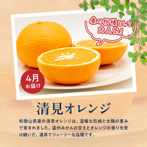 【発送月固定定期便】紀州和歌山産旬のご家庭用柑橘セット(みかん・不知火・せとか・清見)全4回_G60-T98