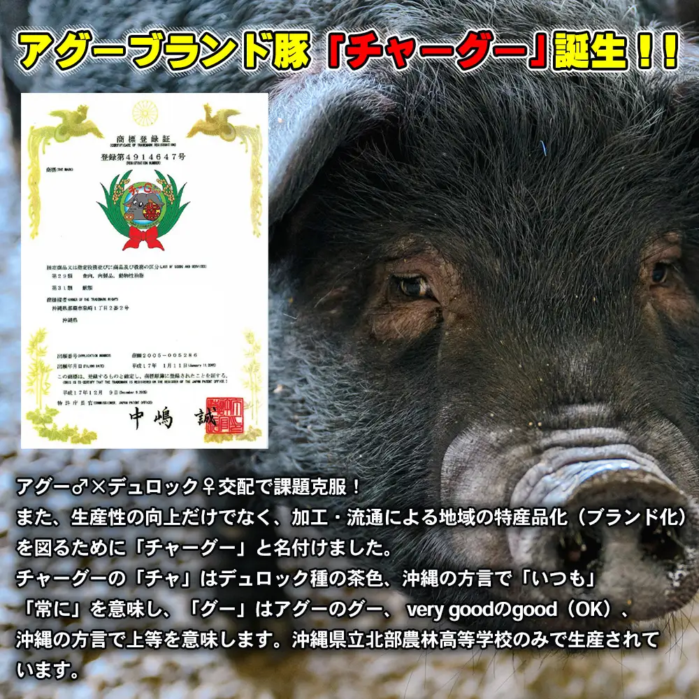 チャ―グー こま肉1kg（250g×4P） 沖縄 チャーグー アグー ブランド豚 旨み ジューシー ヘルシー 沖縄料理 しゃぶしゃぶ 細切れ 豚こま 豚こま切れ 豚しゃぶ 豚肉 人気 高校生 小分け 国産 切り落とし 冷凍