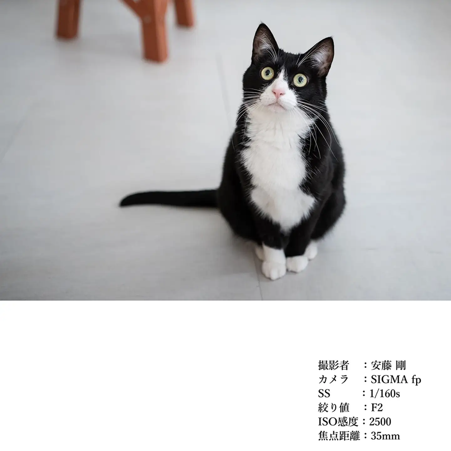 SIGMA 35mm F2 DG | Contemporary　【Lマウント】（シルバー）
