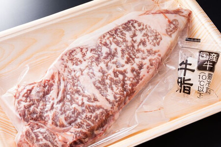 栃木県市貝町産　栃の木黒牛サーロインステーキ　※離島不可（北海道、沖縄本島は配送可能）≪牛肉 国産 おうちごはん ご褒美 冷凍 記念日 ギフト プレゼント 贅沢≫