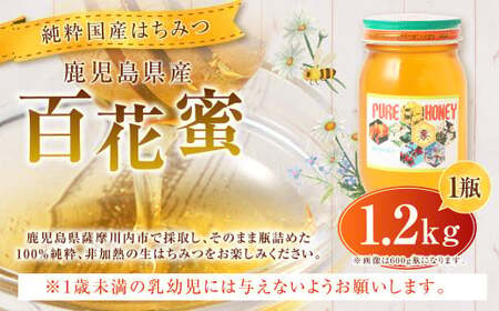 【純粋国産はちみつ】鹿児島県産 百花蜜 1.2kg 上野養蜂えん ハチミツ はちみつ はち蜜 蜂蜜 国産 BS-3204