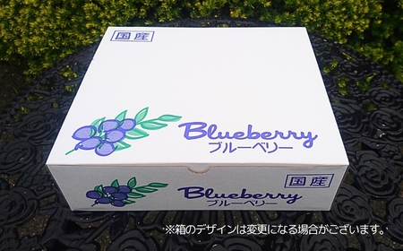 ブルーベリー 国産大粒 2種以上食べ比べ 125g×4パック 計500g | ブルーベリー 金子果樹園