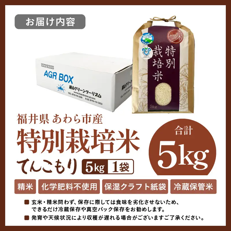 【先行予約】【令和8年産】化学肥料不使用 てんこもり 精米 5kg / 白米 米 福井県あわら市産 美味しい 特別栽培米 減農薬 安心な米 旨味 甘み もっちり 冷蔵保管米 ※2026年9月下旬以降順次発送 [aw010-a052]