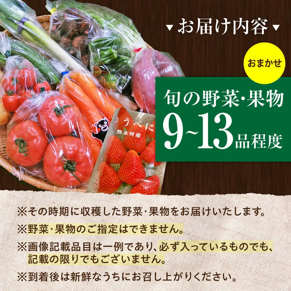 菊陽町特産品「 野菜 ・ 果物 などの詰め合わせ 野菜 果物 BHAK006