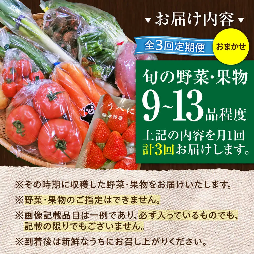 全3回定期便 菊陽町特産品 「 野菜 ・ 果物 などの詰め合わせ」 野菜 果物 BHAK007
