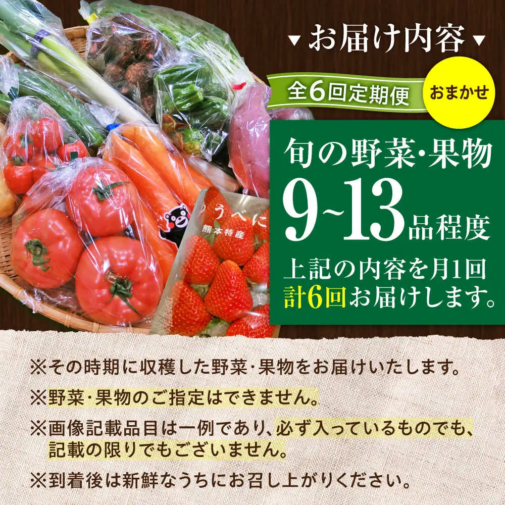 全6回定期便 菊陽町特産品 「 野菜 ・ 果物 などの詰め合わせ」 野菜 果物 BHAK008