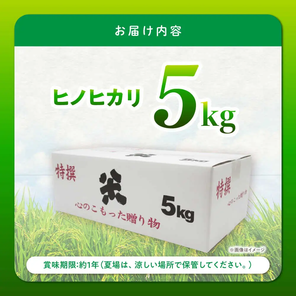 【特別栽培米】 ヒノヒカリ 5kg / 米 精米 白米 ごはん ご飯 ひのひかり / 南島原市 / 農家民宿　いちご一会[SBN001]