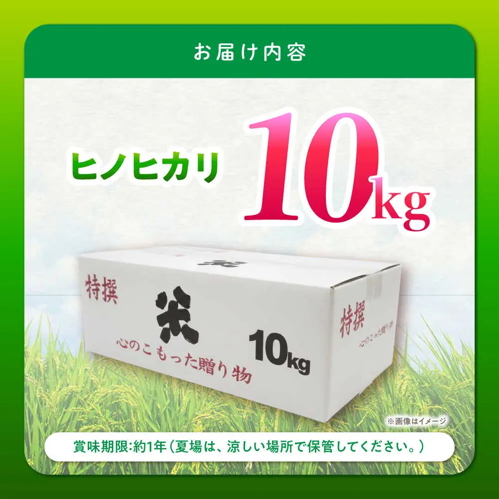 【特別栽培米】 ヒノヒカリ 10kg (5kg×2袋) / 米 精米 白米 ごはん ご飯 ひのひかり / 南島原市 / 農家民宿　いちご一会[SBN002]