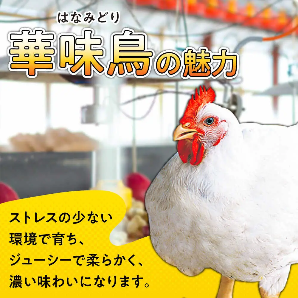 【12回定期便】華味鳥 むね肉 2.7kg（300g×9袋）小分け カット済み 南島原産 /　鶏肉 肉 とり肉 ムネ肉 鶏むね肉 冷凍 / 南島原市 / 株式会社渡部ブロイラー[SFS017]
