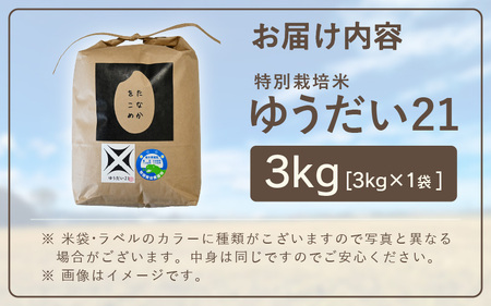【令和6年産】 坂井市産 特別栽培米ゆうだい21 3kg 減農薬 減化学肥料 【お米 3キロ 特別栽培 ふるさと納税米 産地直送 福井県】 [A-4841]