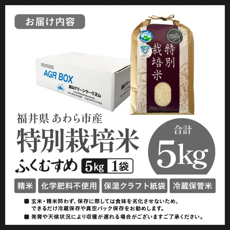 【先行予約】【令和8年産】化学肥料不使用 ふくむすめ 精米 5kg / 白米 米 福井県あわら市産 美味しい 特別栽培米 減農薬 安心な米 旨味 甘み もっちり 冷蔵保管米 ※2026年9月下旬以降順次発送 [aw010-a050]