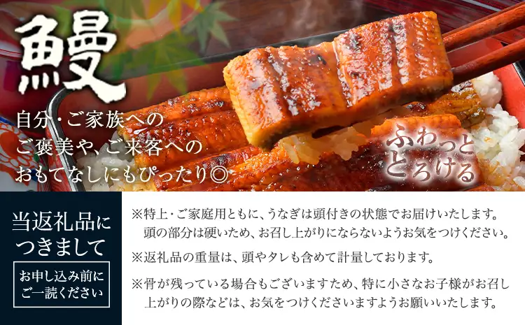 うなぎ 特上サイズ 4尾 贈答箱入り 鰻《30日以内に出荷予定(土日祝除く)》