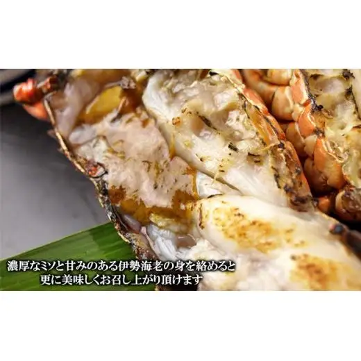 C03-J04 伊勢海老の干物 200g×4尾