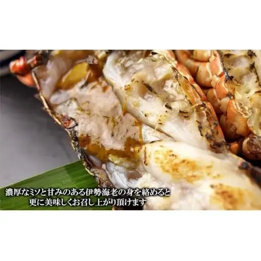 C04-E04 伊勢海老の干物 200g×6尾