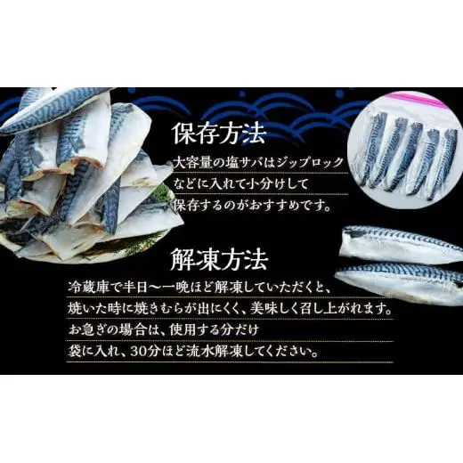 C01-B54 塩サバフィレ 3.5kg