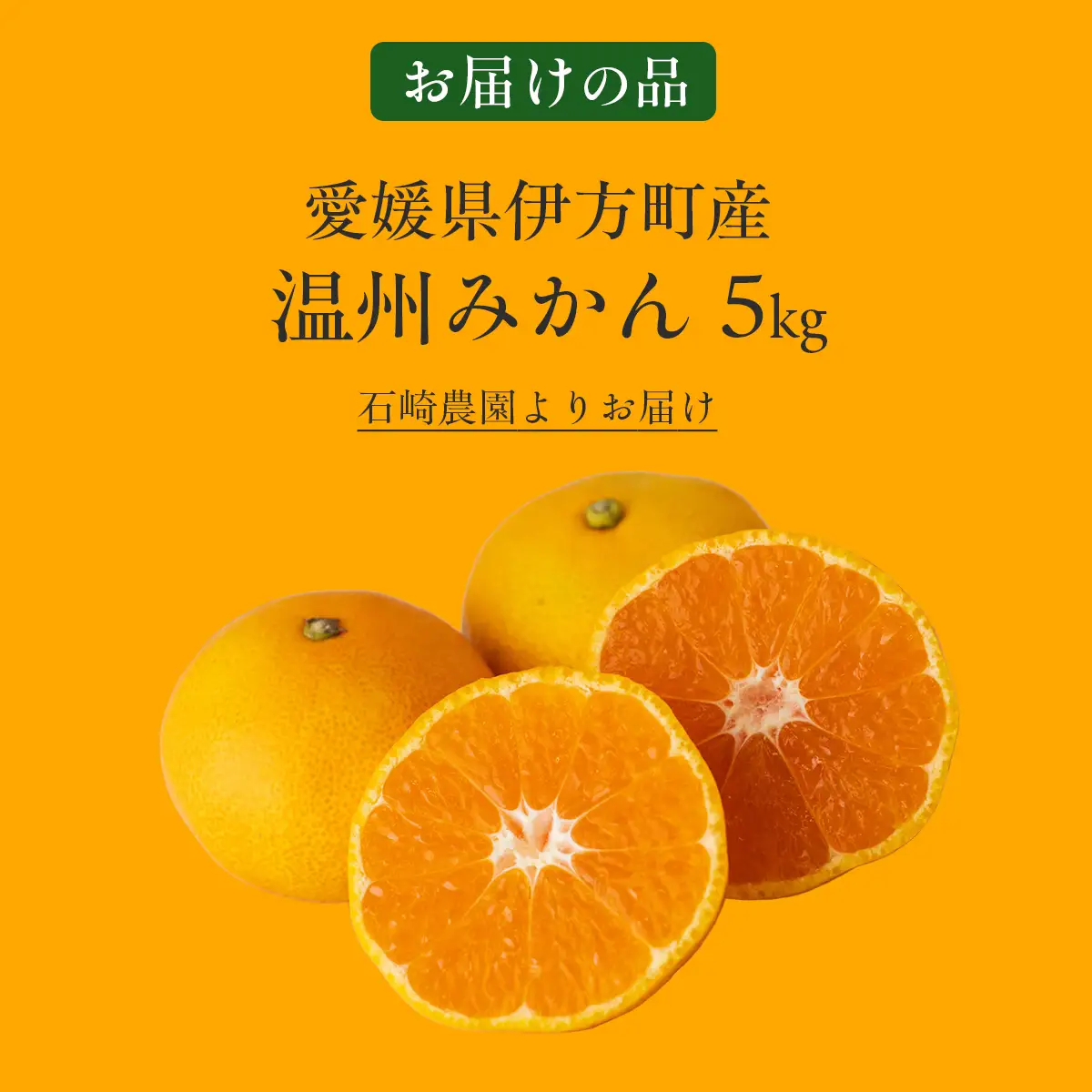 【先行予約】【数量限定】温州みかん5kg（石崎農園）※離島への配送不可 （2026年11月20日より順次発送予定） IKTAG001 
