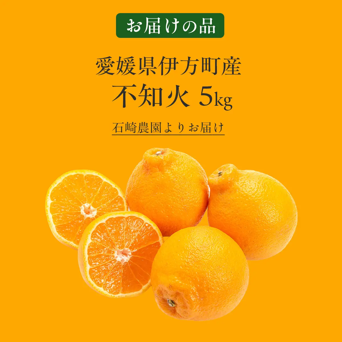 【先行予約】【数量限定】不知火5kg（石崎農園）※離島への配送不可 （2027年2月10日より順次発送予定） IKTAG002 