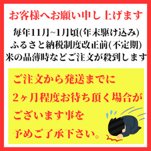 CID17_【無洗米】さがびより３kg【五つ星お米マイスター厳選！】
