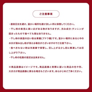 市田柿 贈答用 500g 【2026年1月上旬～発送】