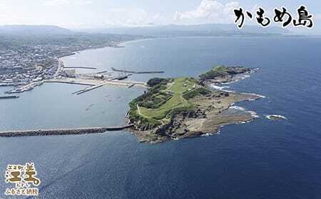 ＼配送時期指定可／北海道かもめ島特産 とった漁師が自らつくる こだわりのほっけの開き ちいさめ 4枚（2枚入×2袋）　約20cm～25cm　食べきりサイズ　甘塩　漁師直送　北海道日本海のホッケ　一夜干し　魚の干物　国産