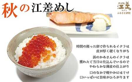 船上活〆・神経〆北海道江差産 天然秋鮭の極上いくら醤油漬け 1kg　100gパック　国産　手作り　いくら　秋あじ　鮭　さけ　サーモン　新物