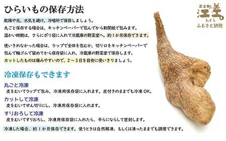 【早期予約 10月より順次出荷予定】北海道産 ひらいも  3kg　砂質土育ち とっても粘りが強い 北海道の山芋　もちもち食感　露地もの　無漂白　ねばり芋　やまと芋　長芋　自然薯　山かけ　とろろ　いももち　豚汁