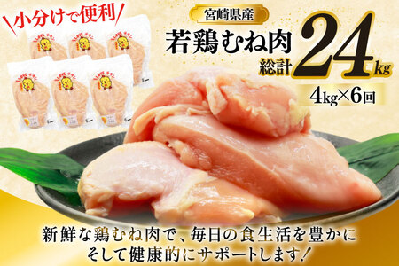 鶏肉 定期便 むね肉 若鶏 鶏むね肉 4kg 6回 総計24kg