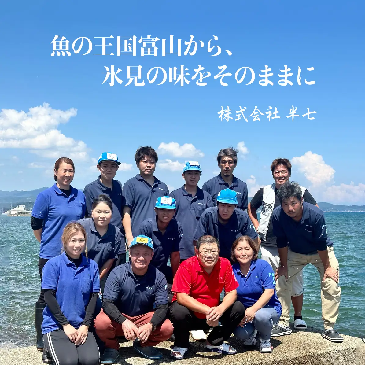 【隔月6回定期便】本物のこだわり！半七の干物 詰め合わせセット  富山県 氷見市 干物 おかず
