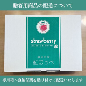 【2026年内お届け！！贈答用】 静岡県産いちご 紅ほっぺ 500g×2パック（1パック12～15粒） 冷蔵配送【配送不可：北海道・沖縄・離島】 苺 フルーツ◇