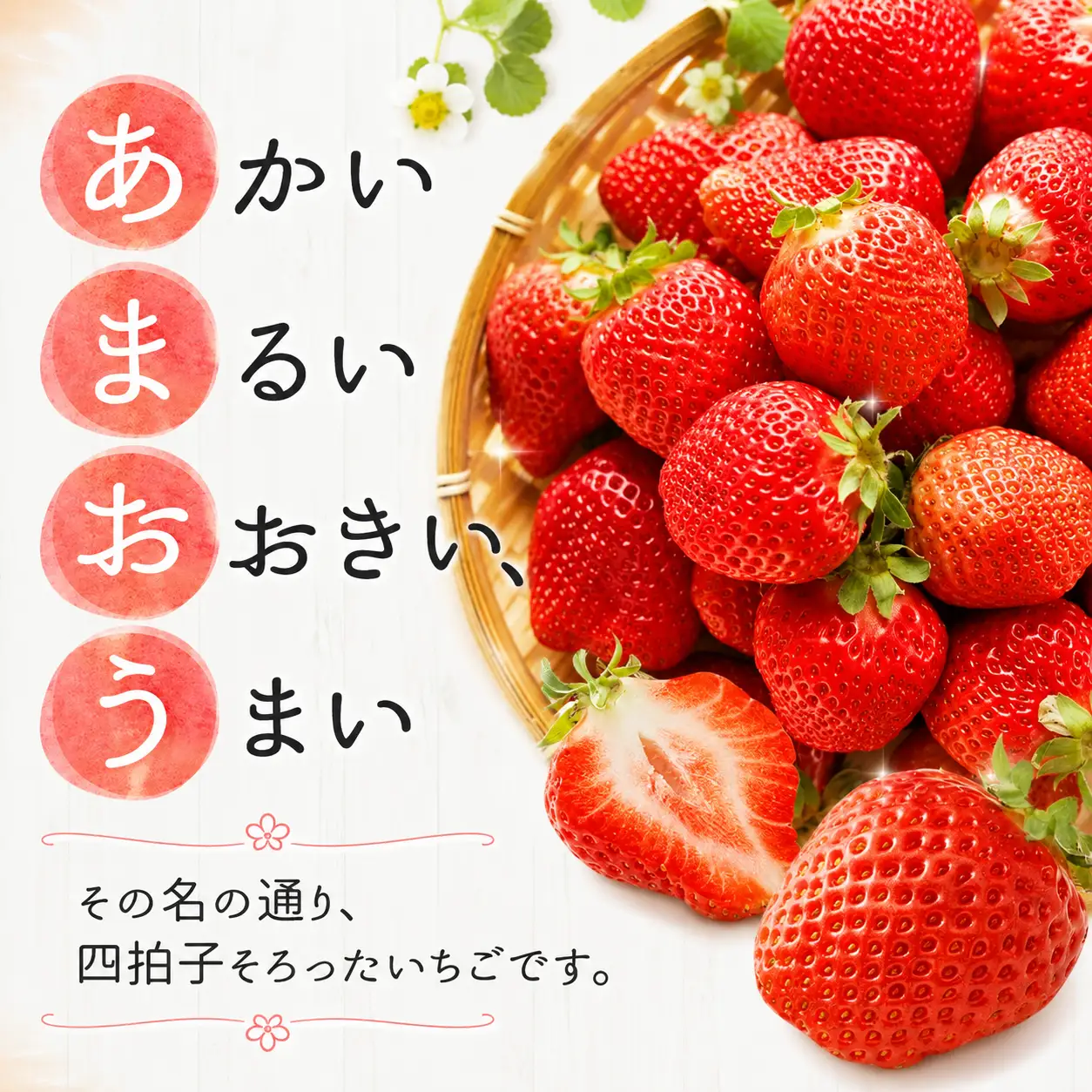 【3回定期便】【先行予約】大粒 あまおう 等級DX 総重量 約3,240g いちご 苺 果物 フルーツ 【2027年1月上旬～3月下旬迄順次発送予定】