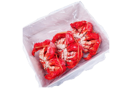 【北海道根室産】花咲ガニ400～500g×3尾 B-11119
