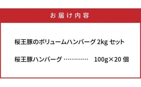 桜王豚のボリュームハンバーグ2kgセット_1486R