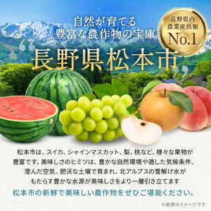 【先行受付】信州産 種無し巨峰 2房 約1kg