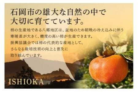 【2026年 先行予約】八郷柿出荷組合の 富有柿 L 32玉 柿 皇室献上柿 かき 富有カキ 果物 フルーツ くだもの カキ 富有かき 秋 旬 高級 糖度 贈答用 贈答品 ギフト 贈り物 品種 ブランド 11月 12月 発送 産地直送 農家直送 産直 茨城県 石岡市 (A21-003)