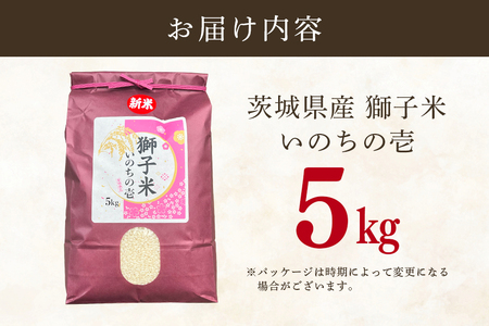 【令和7年産】獅子米 いのちの壱 精米 5kg 岡田ファーム コンテスト受賞米 お米 白米 米 おこめ ブランド米 5キロ 国産 単一原料米 コメ こめ ご飯 銘柄米 茨城県産 茨城 産直 産地直送 農家直送 ごはん 家庭用 贈答用 ギフト 茨城県 石岡市 (B02-017)