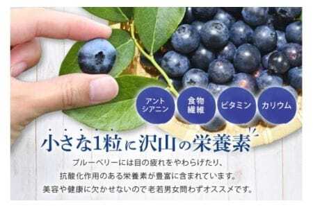 【 2026年 先行予約 】 フレッシュ ブルーベリー 1kg ダチョウ王国産 ( 500g 2パック ) 生 品種 お任せ 新鮮 完熟 冷蔵 農薬 栽培期間中 不使用 1キロ 果物 フルーツ 国産 産地直送 農家直送 産直 夏 6月 7月 8月 発送 くだもの 茨城 茨城県 石岡市 (C05-001)