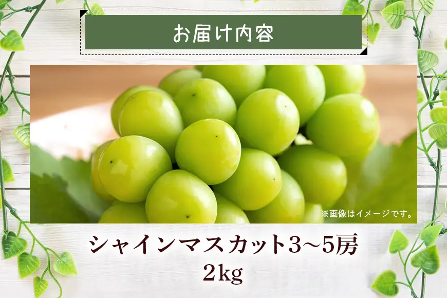 【 2026年 先行予約 】 シャインマスカット 2kg 石田ぶどう園 3房 ～ 5房 種なし ぶどう ブドウ 国産 果物 くだもの 大粒 葡萄 種無し フルーツ 2キロ 9月 10月 発送 秋 旬 品種 茨城県産 産地直送 産直 農家直送 冷蔵 茨城県 石岡市 (A02-015)