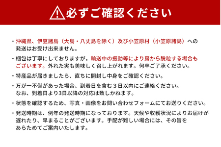 【 2025年 先行予約 】 シャインマスカット と 種なし ぶどう 1.5kg 石田ぶどう園 ぶどう 詰合せ ブドウ 国産 果物 葡萄 フルーツ 1.5キロ 9月 10月 発送 秋 旬 品種 茨城県産 産地直送 産直 農家直送 冷蔵 茨城県 石岡市 (A02-017)