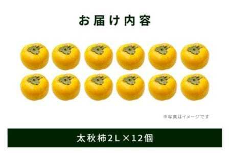 【 2025年 先行予約 】 太秋柿 2L 12玉 坂川果樹園 柿 甘い柿 大玉 かき 太秋カキ 甘い 果物 フルーツ くだもの カキ 太秋かき 秋 旬 甘柿 糖度 贈答用 贈答品 ギフト 贈り物 品種 ブランド 10月 11月 発送 産地直送 農家直送 産直 茨城県 石岡市 (A20-004)