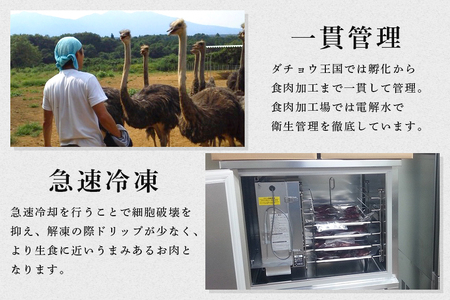 ダチョウ モモ肉 約500g ダチョウ肉 赤身肉 ヘルシー 低脂肪 低カロリー 高たんぱく質 鉄分 豊富 真空パック 上質 抗生物質不使用 成長ホルモン不使用 国産 ダイエット 健康志向 グルメ ギフト 産地直送 (C05-005)