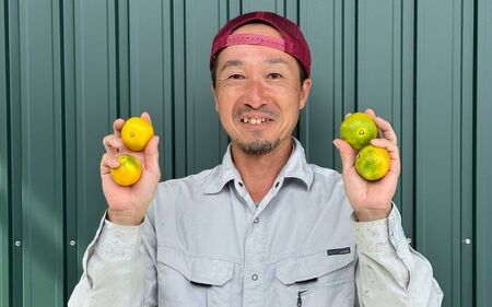 ＼訳あり／ ゆら早生みかん 10kg / みかん ミカン 和歌山県 柑橘 早生 甘い 蜜柑 フルーツ 果物 くだもの 食品  産地直送 由良町 ご家庭用 ゆら早生 早生みかん ※2026年10月上旬～10月下旬頃に順次発送予定【kwgc003-c-10】