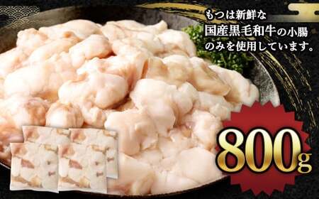 国産牛 もつ鍋 8人前 ちゃんぽん 濃縮スープ付 （みそ味） 冷凍 国産 もつ もつ鍋セット