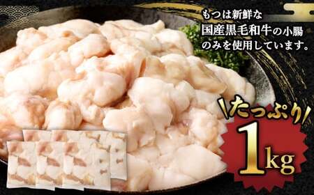 国産牛 もつ鍋 10人前 ちゃんぽん 濃縮スープ付 （みそ味） 冷凍 国産 もつ もつ鍋セット