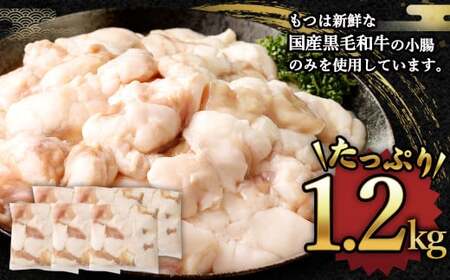国産牛 もつ鍋 12人前 ちゃんぽん 2つの味が楽しめる濃縮スープ付 （醤油味＆みそ味） 冷凍 国産 もつ もつ鍋セット