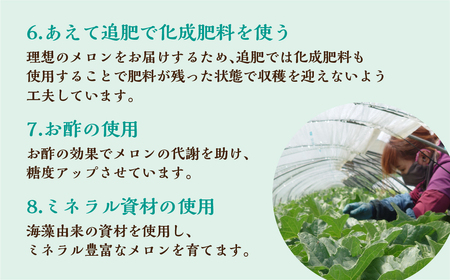【先行予約】2027年7月お届け  タカミメロン 2玉 水野農園 メロン
