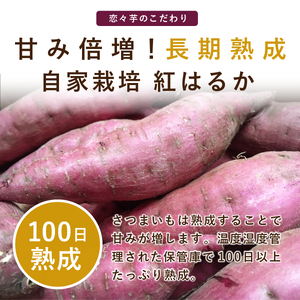 無添加 丹波篠山市産 紅はるか 干し芋 500g | さつまいも サツマイモ さつま芋 甘い ホクホク 熟成 甘い 柔らか おいしい 美味しい ねっとり 食物繊維 美容 スイーツ 国産 CU14 冷凍配送 冷凍食品