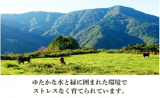 【但馬牛】赤身スライス（モモ・肩部位）（500g）