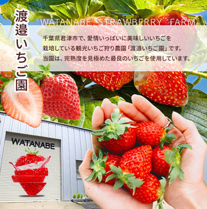 完熟・急速 冷凍いちご 2kg | 渡邉いちご園